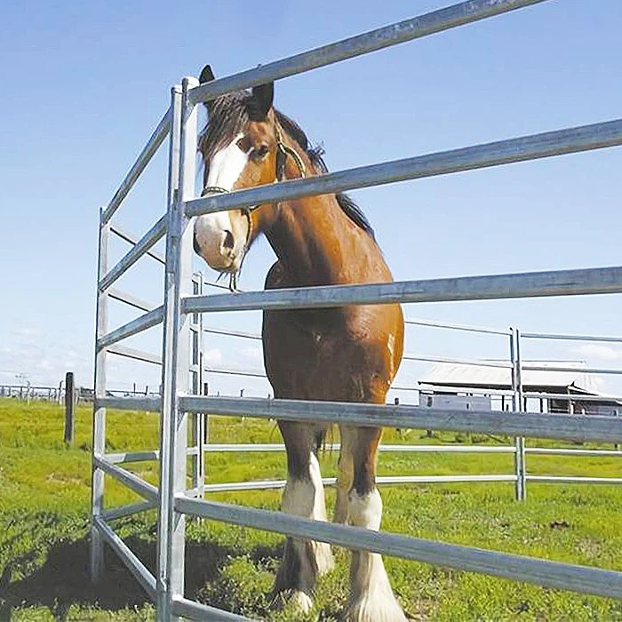 Cattle Horse Fence Panel  manufacture