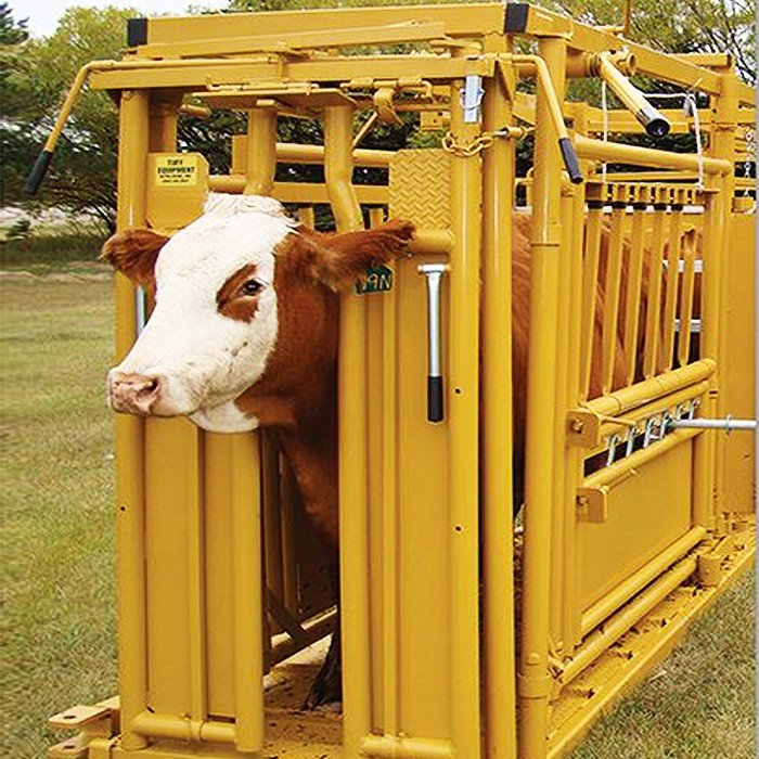 Cattle Manual Headgate Cattle Manual Headgate