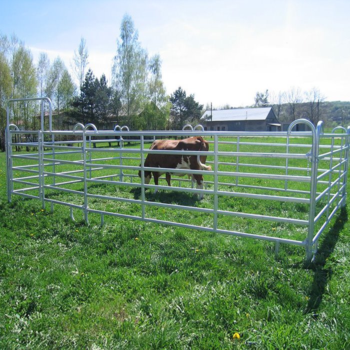 Galvanized Cattle Panels Galvanized Cattle Panels