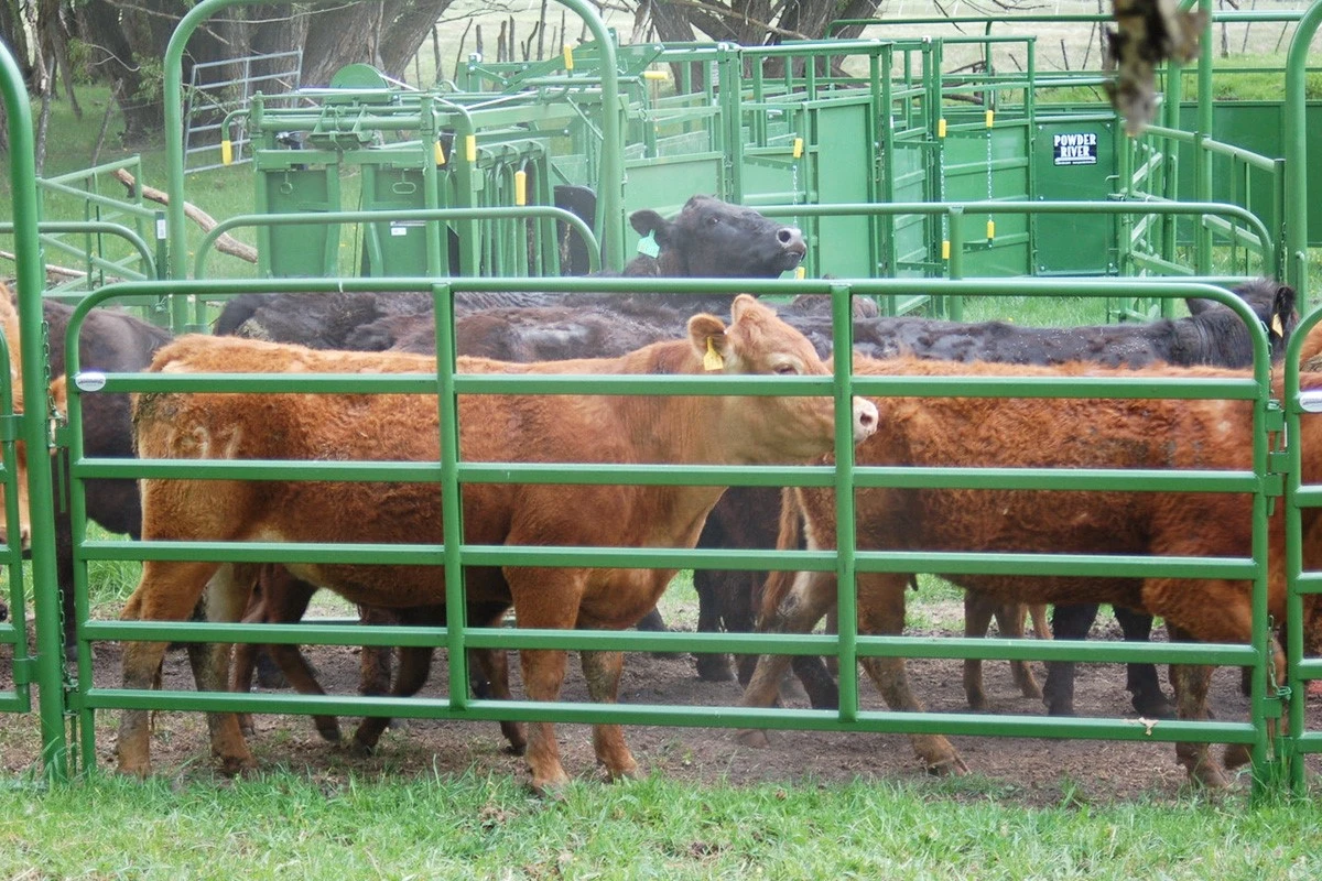 customized cattle corral panels