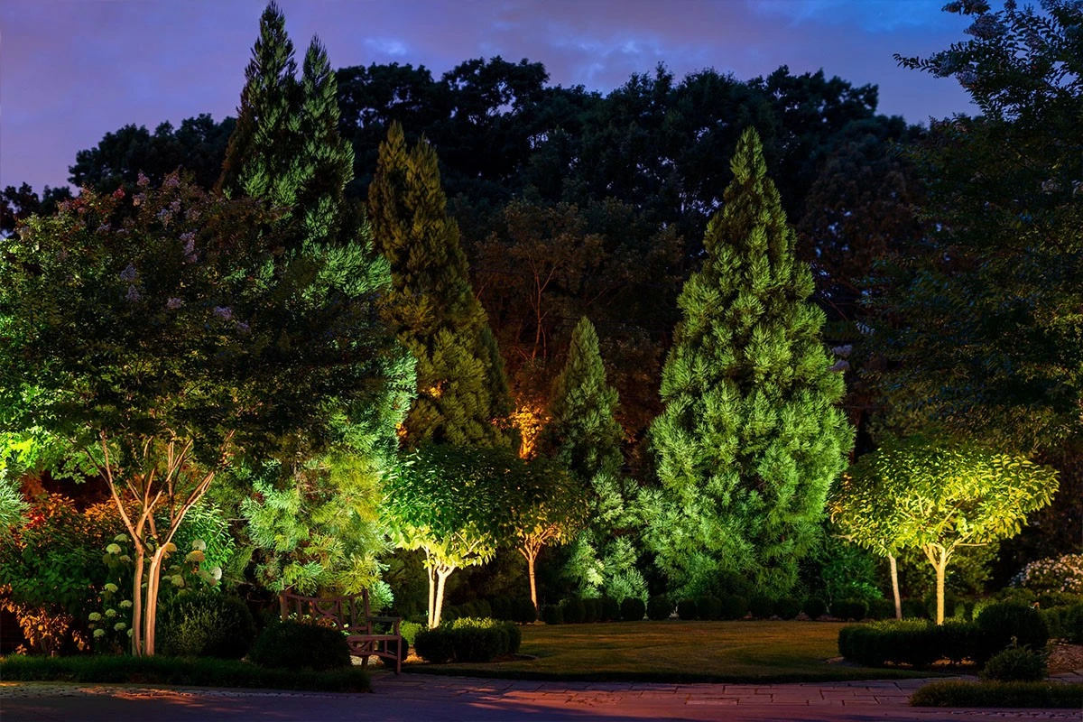 Tree light manufacturers Tree light manufacturers
