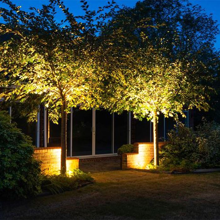 Tree Light